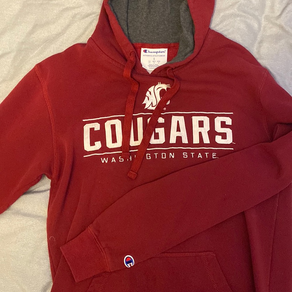 Size small, Champion hoodie.